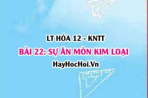 Các dạng ăn mòn kim loại và các phương pháp chống ăn mòn kim loại? Hóa 12 bài 22 KNTT